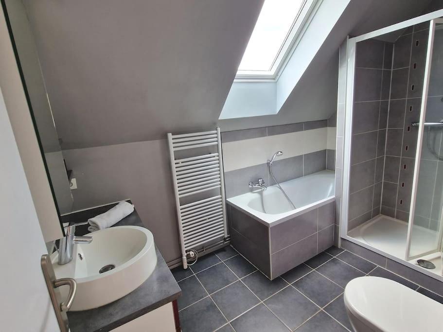 Les Glazons *T4* Olivet + Parking Apartman Kültér fotó